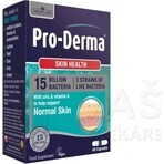 PRO-DERMA 60CPS NATURES AID UK 1×60 cps, complément alimentaire