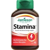 JAMIESON STAMINA COMPLEX OF VITAMINS AND MINERALS 1×90 tbl, complément alimentaire