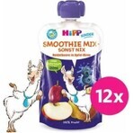 HiPP BIO Smoothie MIX Appel Peer Bosbessen 1×120 ml, fruit en groenten, 12m+