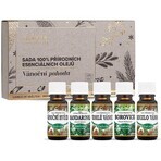 Saloos Christmas well-being-set of 100% natural essential oils 5x10 ml, set of essential oils