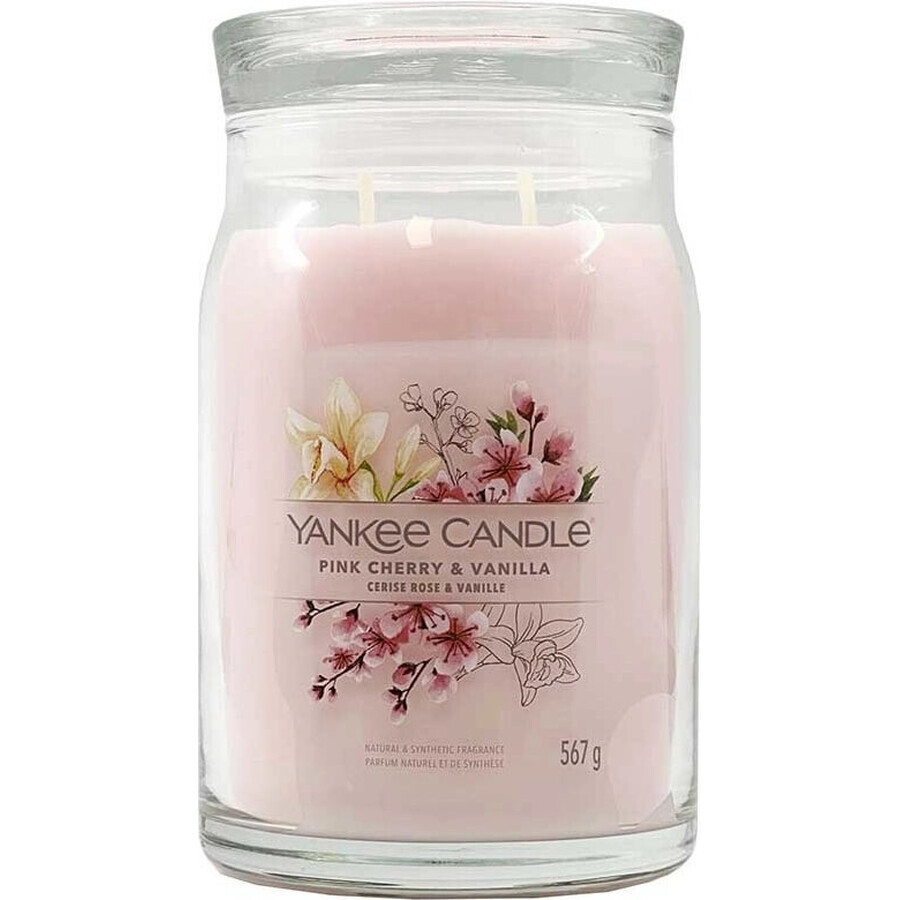 Yankee Candle Signature große Kerze Pink Cherry & Vanilla 1×567 g, Duftkerze