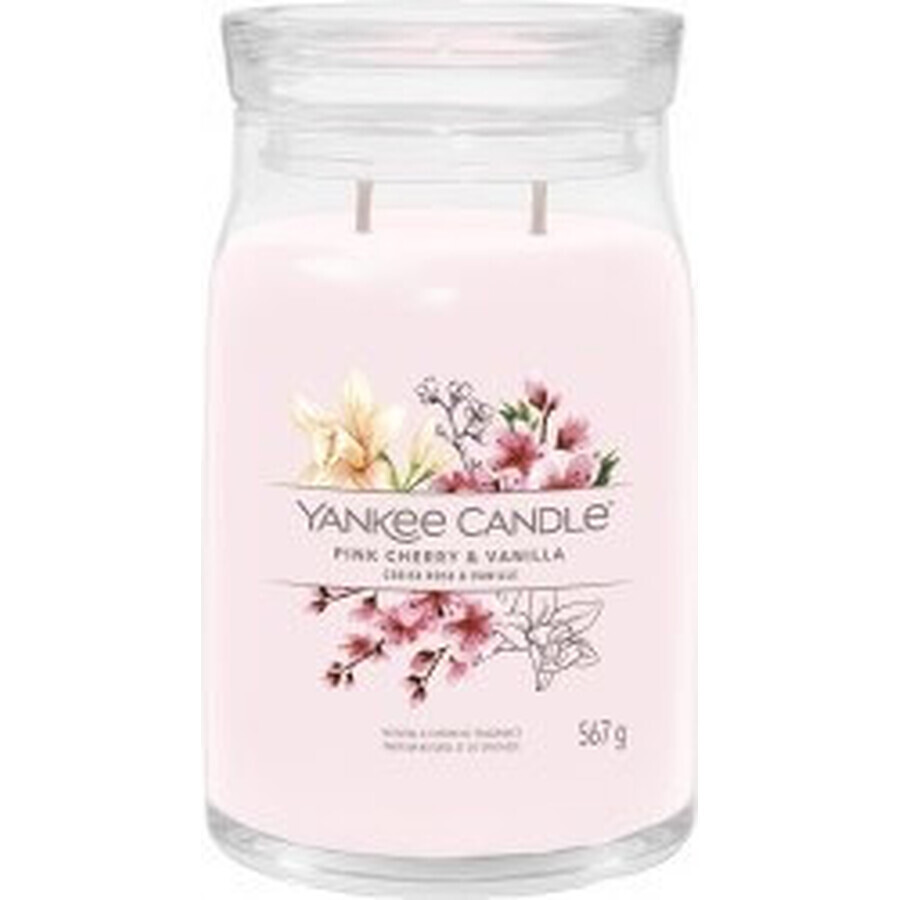 Yankee Candle Signature große Kerze Pink Cherry & Vanilla 1×567 g, Duftkerze