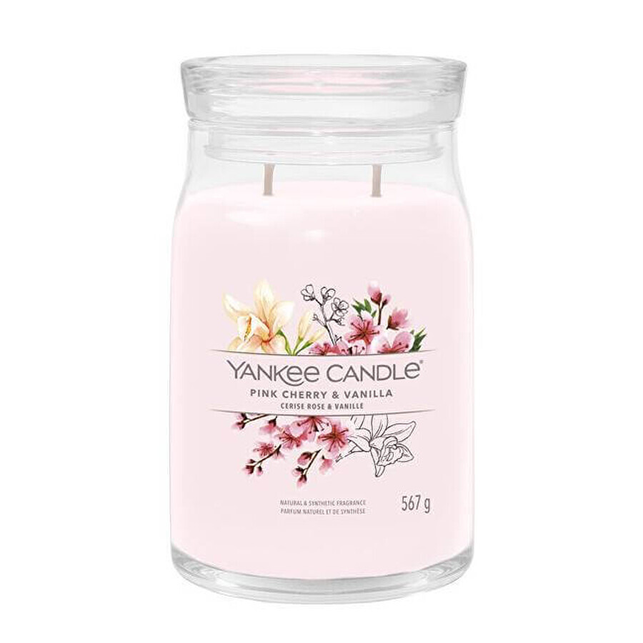 Yankee Candle Signature große Kerze Pink Cherry & Vanilla 1×567 g, Duftkerze