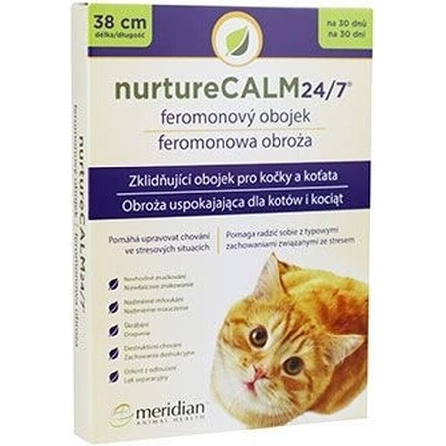 Sergeants Pheromone Collar For Cats 1×35 cm, collier apaisant pour chats et chatons