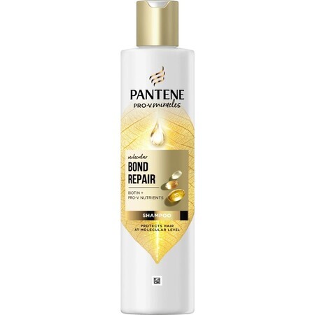 PANTENE MOLECUL.BOND REP.SHP BIOT.PRO-V 250ML 1×250 ml, șampon pentru păr deteriorat