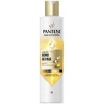 PANTENE MOLECUL.BOND REP.SHP BIOT.PRO-V 250ML 1×250 ml, șampon pentru păr deteriorat