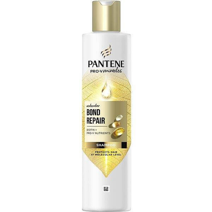 PANTENE MOLECUL.BOND REP.SHP BIOT.PRO-V 250ML 1×250 ml, șampon pentru păr deteriorat