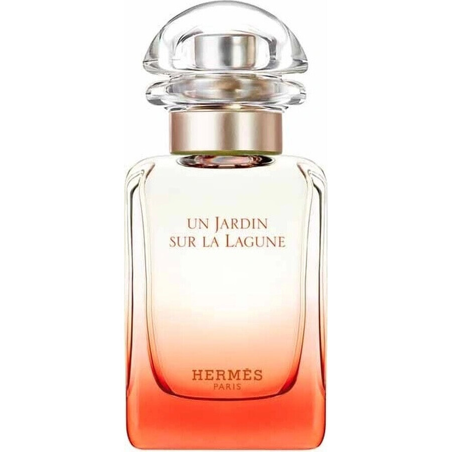 HERMES UN JARDIN SUR LA LAGUNE eau de toilette 1×100ml, eau de toilette pour homme et femme