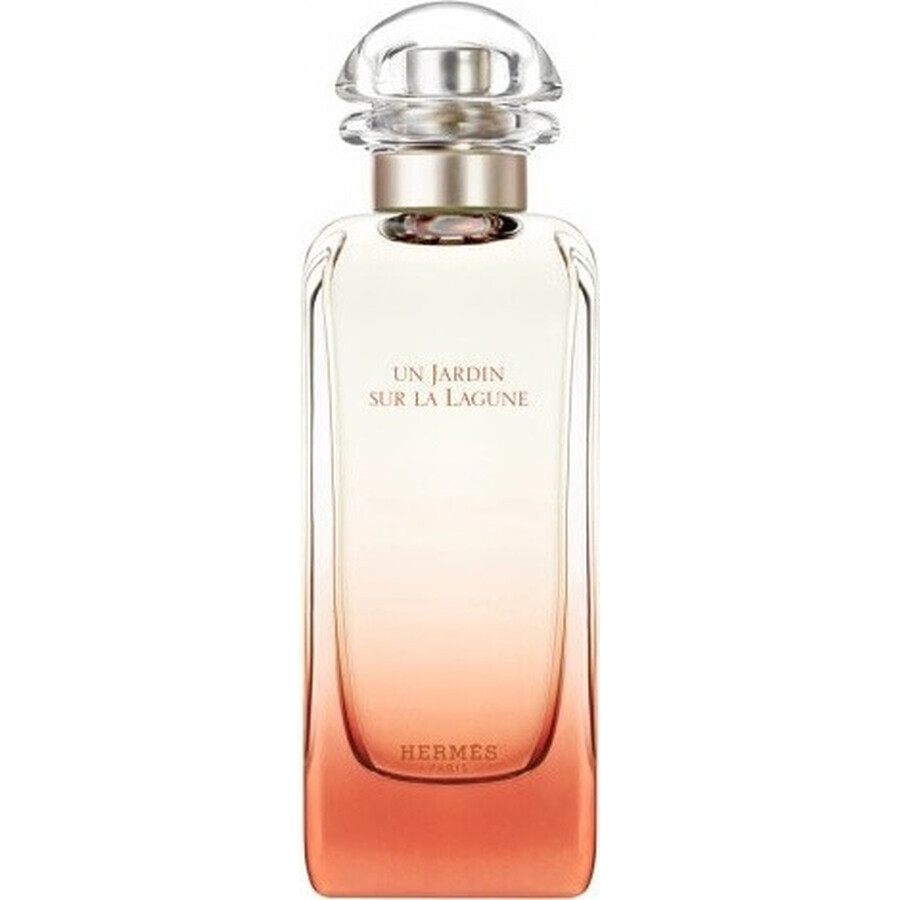 HERMES UN JARDIN SUR LA LAGUNE eau de toilette 1×100ml, eau de toilette pour homme et femme