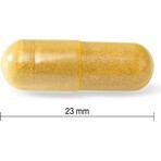 JAMIESON CURCUMIN WITH BLACK ROOT 1x60 cps, Nahrungsergänzungsmittel