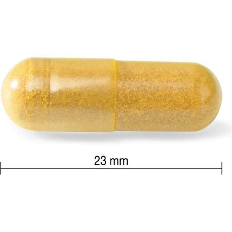 JAMIESON CURCUMIN WITH BLACK ROOT 1x60 cps, Nahrungsergänzungsmittel