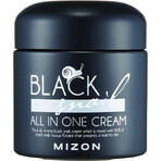 Mizon Black Snail All In One Cream 75 ml 1×75 ml