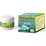 FYTO Tatra mélange de plantes pour les bronches BALM 1×40 g pour les rhumes