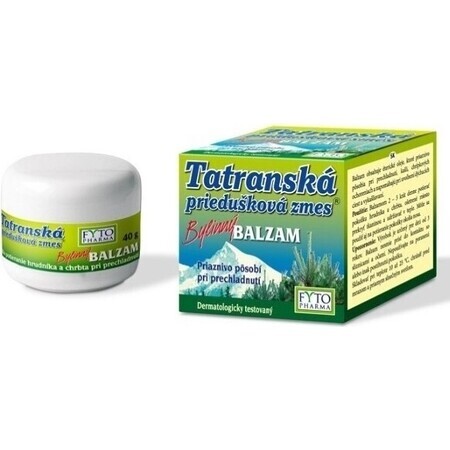 FYTO Tatra mélange de plantes pour les bronches BALM 1×40 g pour les rhumes