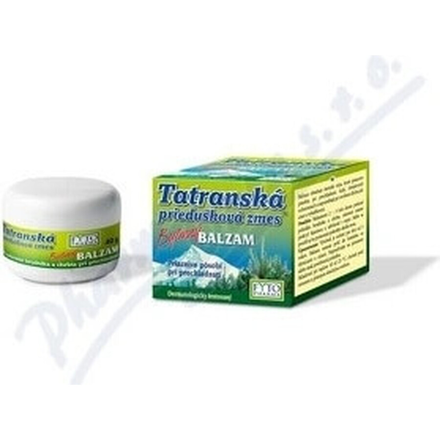 FYTO Tatra mélange de plantes pour les bronches BALM 1×40 g pour les rhumes