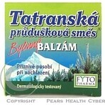 FYTO Tatra mélange de plantes pour les bronches BALM 1×40 g pour les rhumes