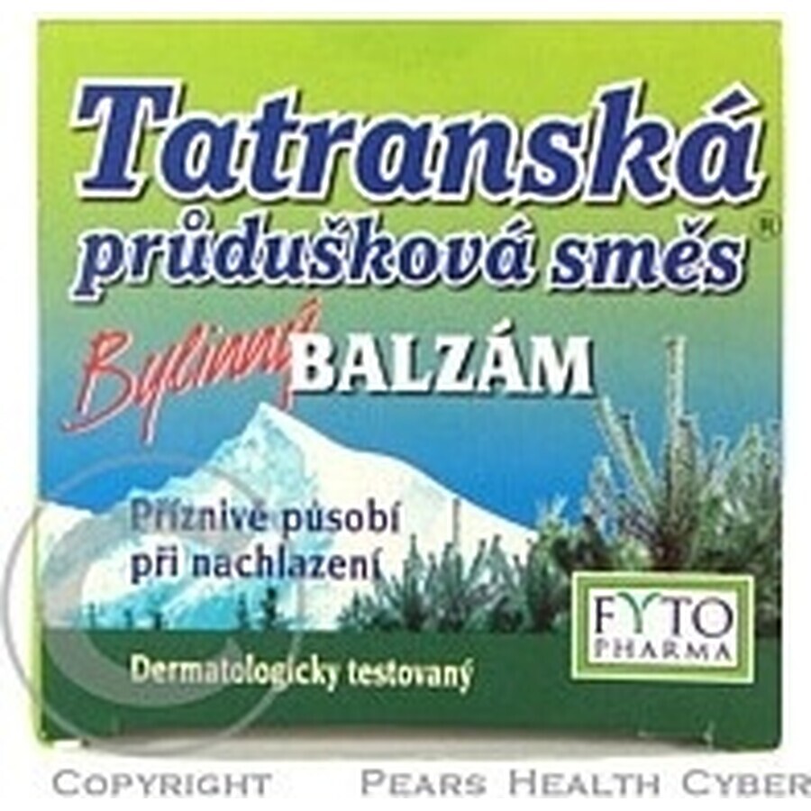 FYTO Tatra mélange de plantes pour les bronches BALM 1×40 g pour les rhumes