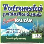 FYTO Tatra mélange de plantes pour les bronches BALM 1×40 g pour les rhumes