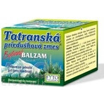 FYTO Tatra mélange de plantes pour les bronches BALM 1×40 g pour les rhumes