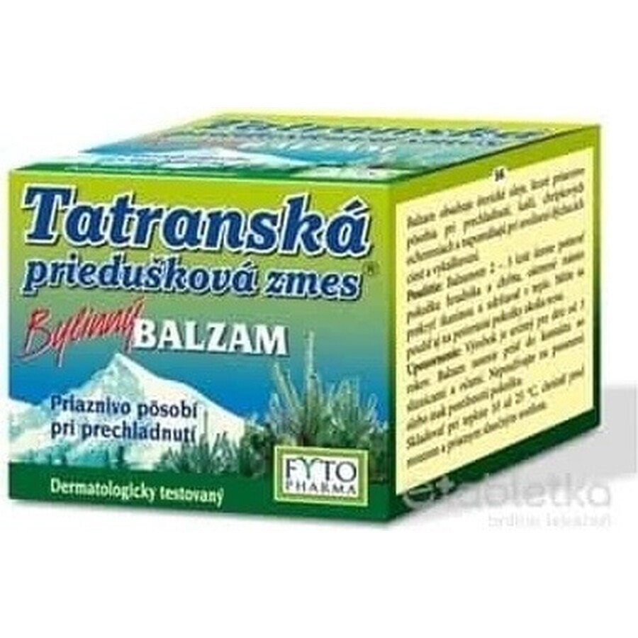 FYTO Tatra mélange de plantes pour les bronches BALM 1×40 g pour les rhumes