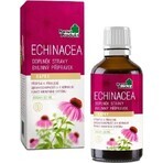 NaturProdukt ECHINACEA 1×50 ml, druppels