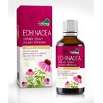 NaturProdukt ECHINACEA 1×50 ml, druppels