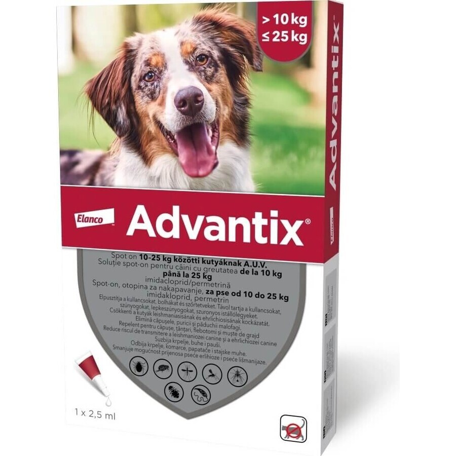 Advantix Spot-on pour chiens de 10 à 25 kg 1×2,5 ml, pipette