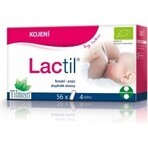 Lactil 1×56 cps, complément alimentaire