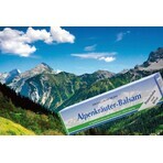 Primavera Alpenkräuter Balsam 1×200 ml, Baume aux herbes des Alpes