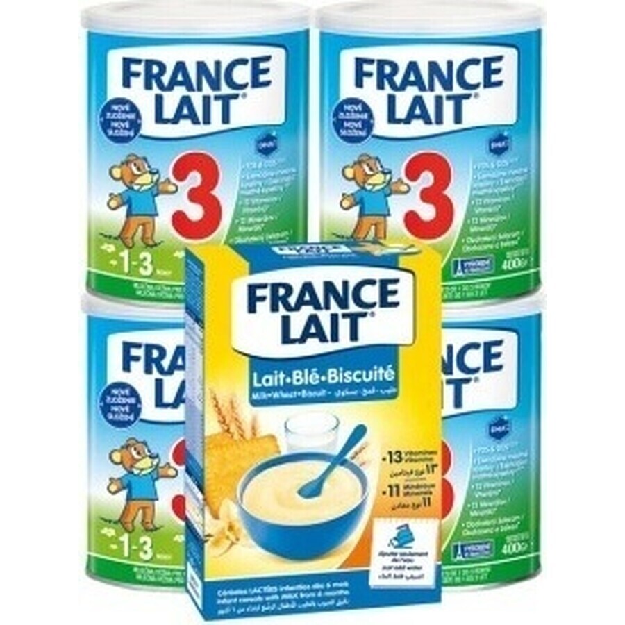 France Lait 3 4x400g + FL bouillie de blé. Set 250g 1×1, lait infantile en poudre set