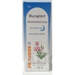 Mucoplant Plantain solution Good Night Plantain solution 1×100 ml