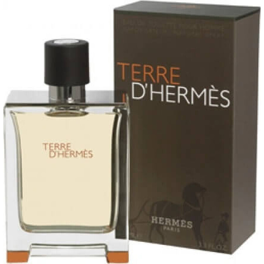 Hermes Terre D Hermes Edt 50ml 1×50 ml, Eau de toilette