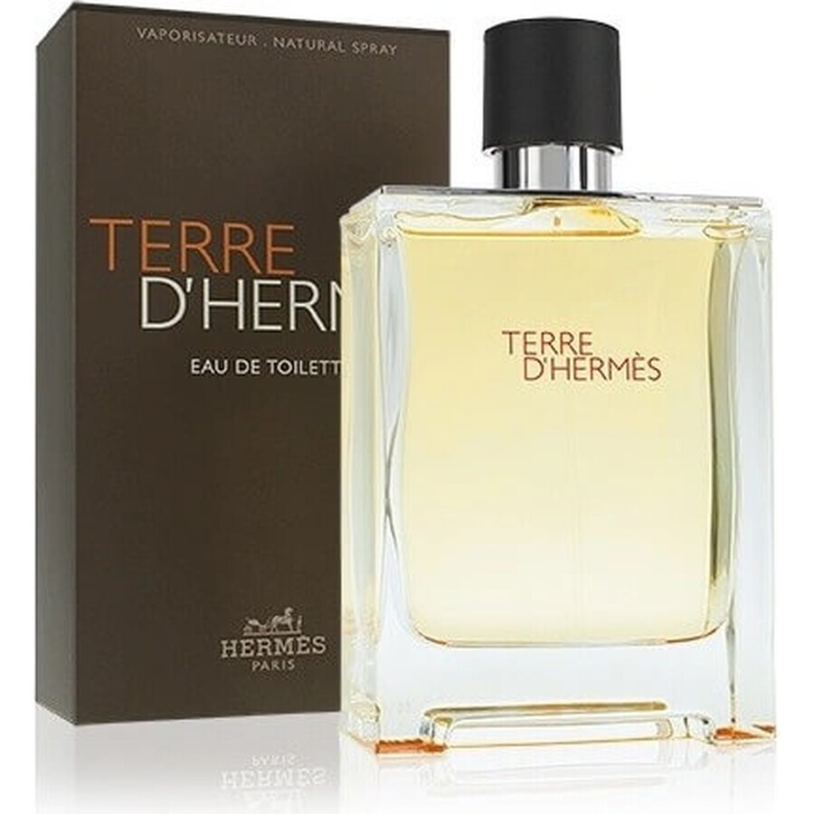 Hermes Terre D Hermes Edt 50ml 1×50 ml, Eau de toilette