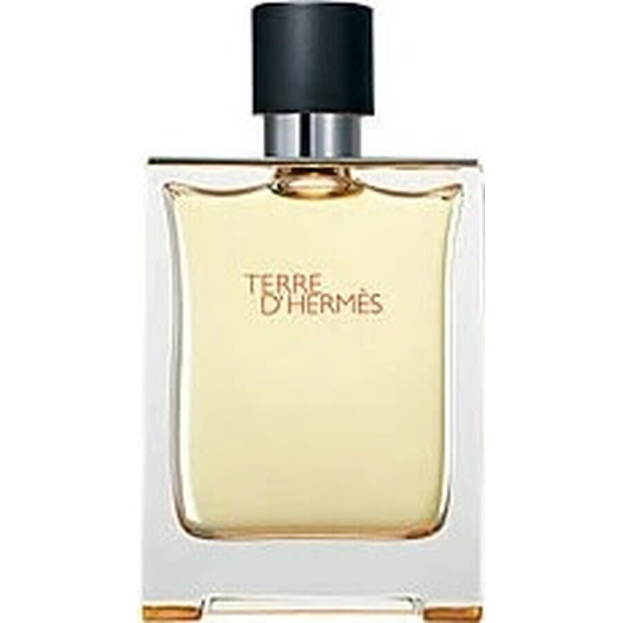 Hermes Terre D Hermes Edt 50ml 1×50 ml, Eau de toilette