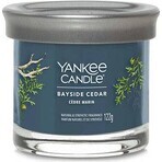 Yankee Candle Signature small candle Bayside Cedar 1×122 g Bayside Cedar 1×122 g, scented candle