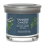 Yankee Candle Signature small candle Bayside Cedar 1×122 g Bayside Cedar 1×122 g, scented candle