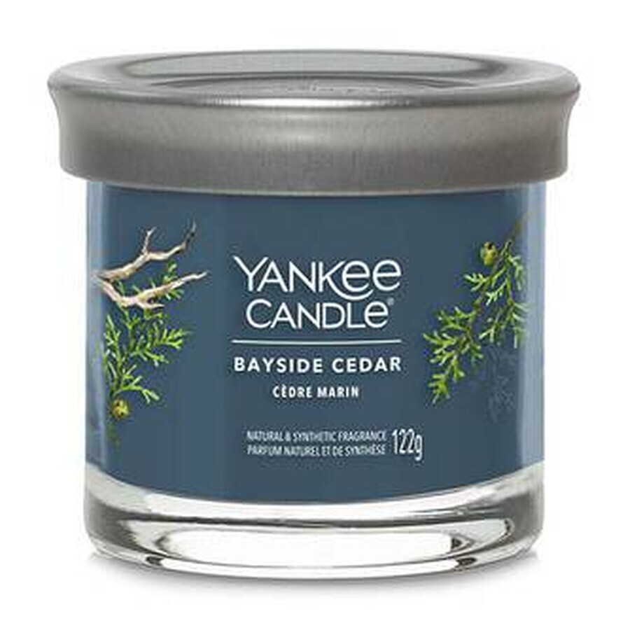 Yankee Candle Signature small candle Bayside Cedar 1×122 g Bayside Cedar 1×122 g, scented candle