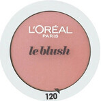 L'Oréal Paris True Match Le Blush 145 1×5 g, colorete