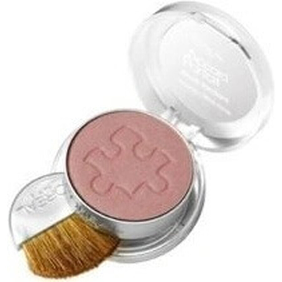 L'Oréal Paris True Match Le Blush 145 1×5 g, colorete