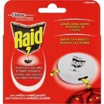 Raid contre les fourmis 1×1 pc, pour l'élimination des fourmis