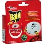 Raid contre les fourmis 1×1 pc, pour l'élimination des fourmis