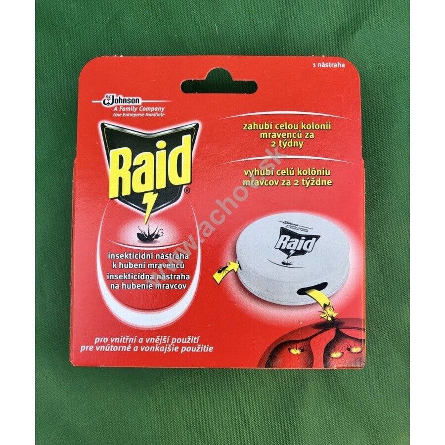 Raid contre les fourmis 1×1 pc, pour l'élimination des fourmis