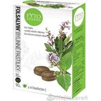 FYTOPHARMA pilules à base de plantes avec vitamine C 1×30 pcs, pilules à base de plantes