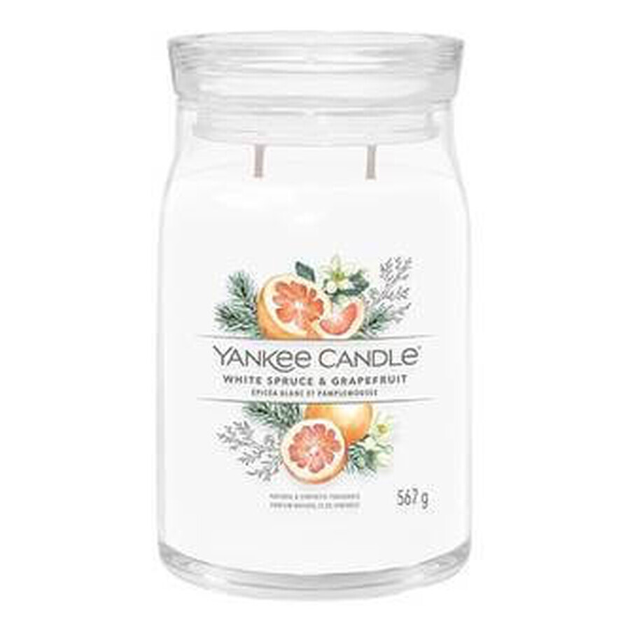 Yankee Candle Signature Signature Large White Spruce & Grapefruit 1×567 g, bougie parfumée