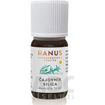 HANUS SILICA TEA TUB 1×10 ml, oil