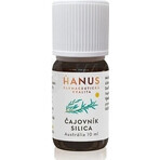 HANUS SILICA TEA TUB 1×10 ml, oil