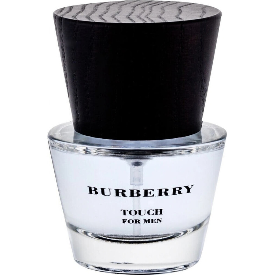 Burberry Touch Men Edt 100ml 1×100 ml, apă de toaletă