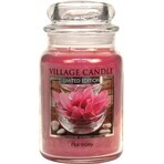 Village Candle Candela profumata in vetro - Harmony - Harmony, grande 1×1 pz.