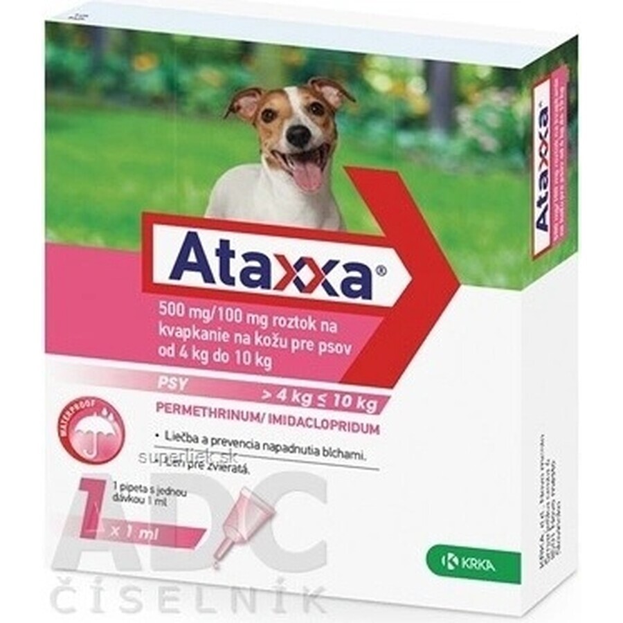 Ataxxa 500 mg/100 mg (chiens de 4 kg à 10 kg) 1×1 ml, solution pour chiens