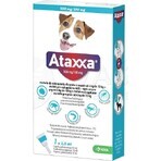 Ataxxa 500 mg/100 mg (chiens de 4 kg à 10 kg) 1×1 ml, solution pour chiens